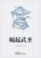 崛起武聖