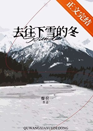 去往下雪的冬[京圈]
